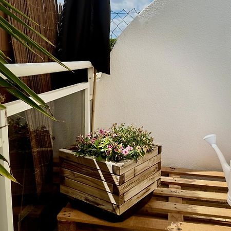 Datiler Vybdenia Ngoại thất bức ảnh